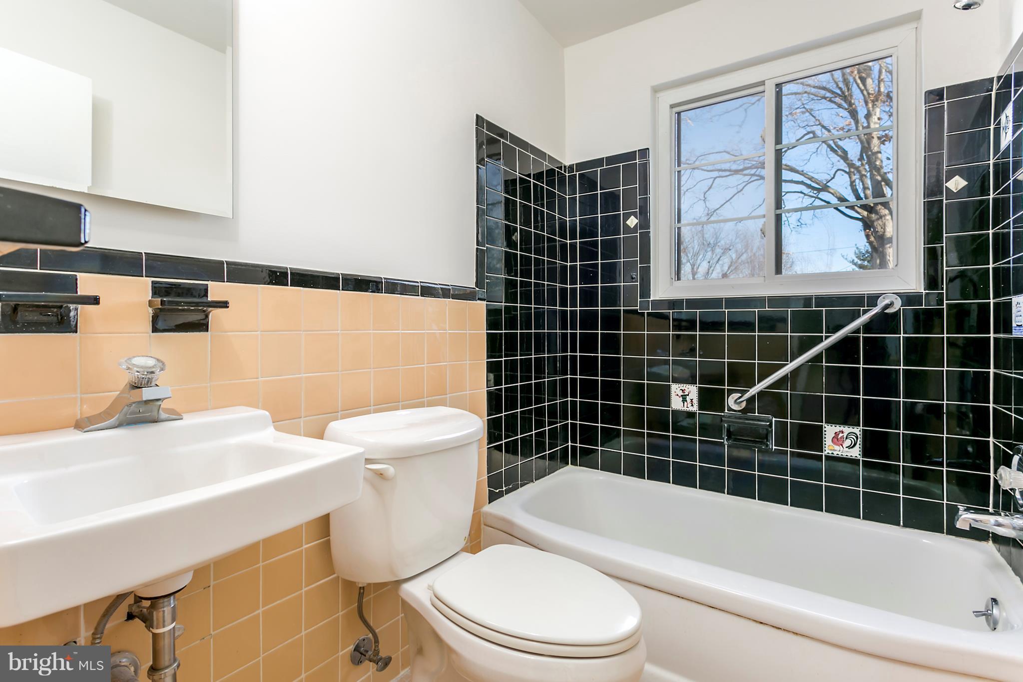 CHEVY CHASE VIEW - Residential