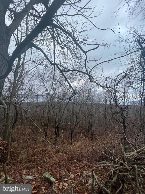 Vacant Land For Sale - 17629 Shirleys Knob Road<br/> Huntingdon County, CASSVILLE, PA 16623