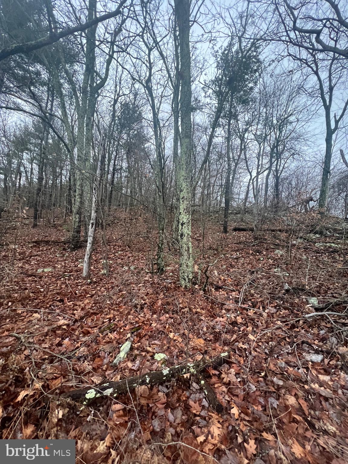 17629 SHIRLEYS KNOB ROAD