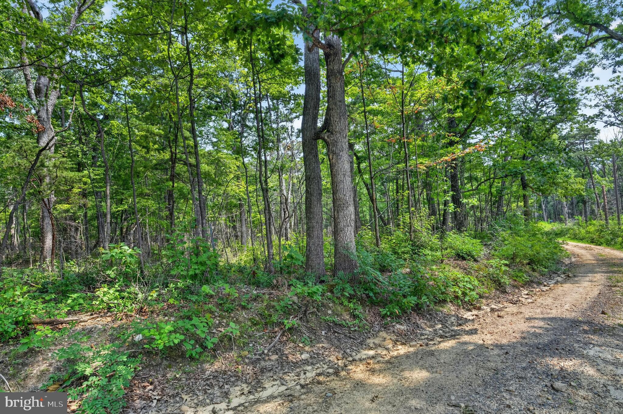 INDIAN TRAIL ROAD
