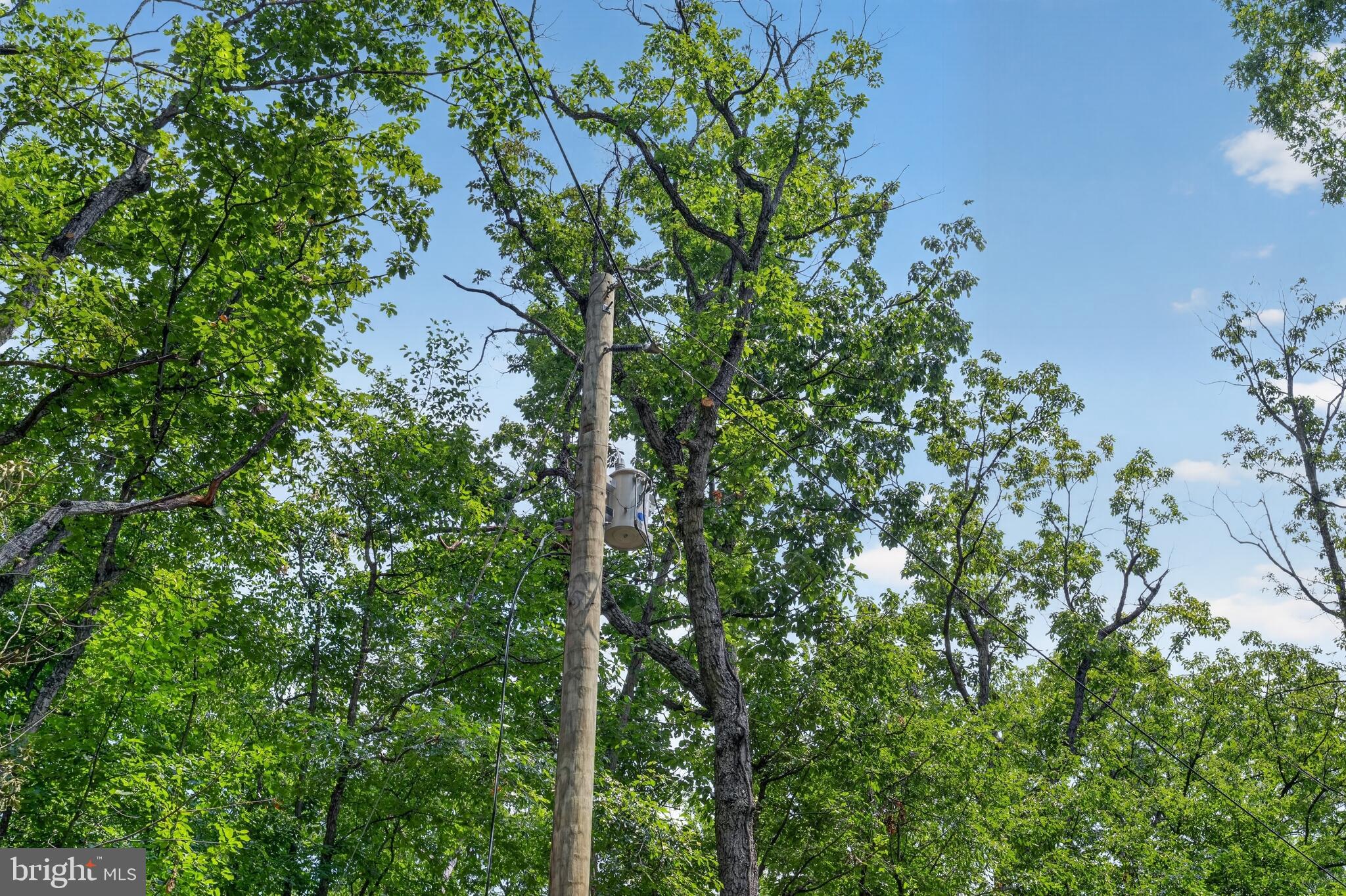 INDIAN TRAIL ROAD