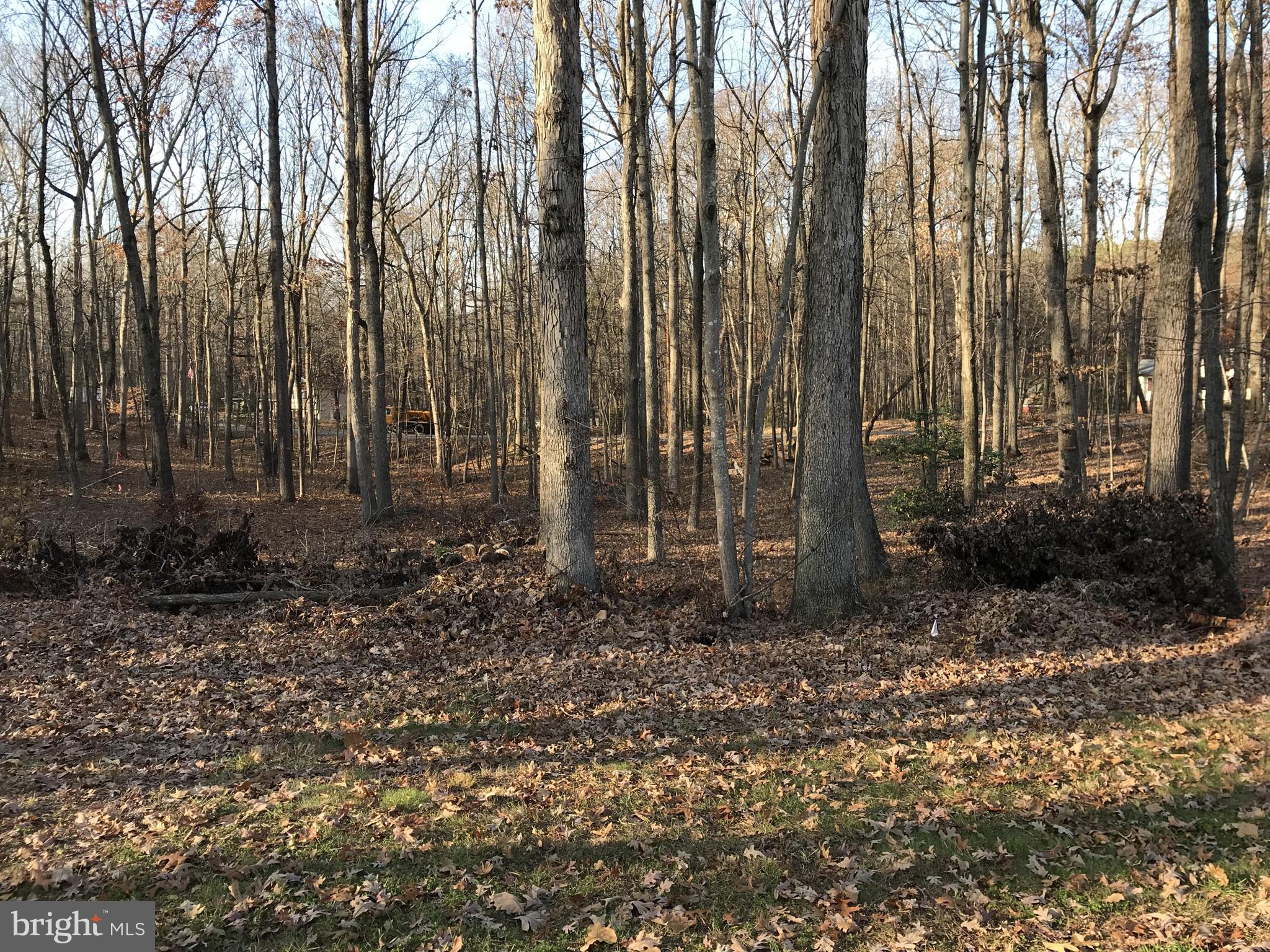 SILVER CUP - Residential