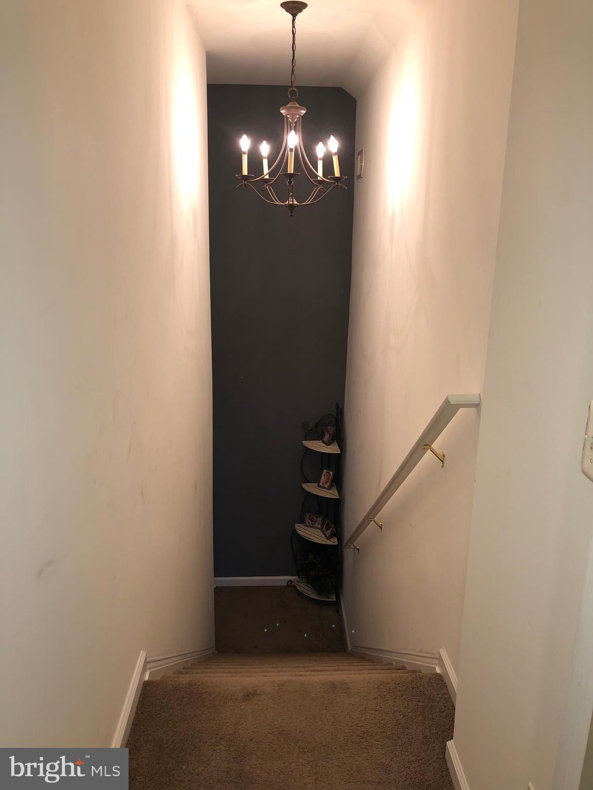 SILVER CUP - Residential