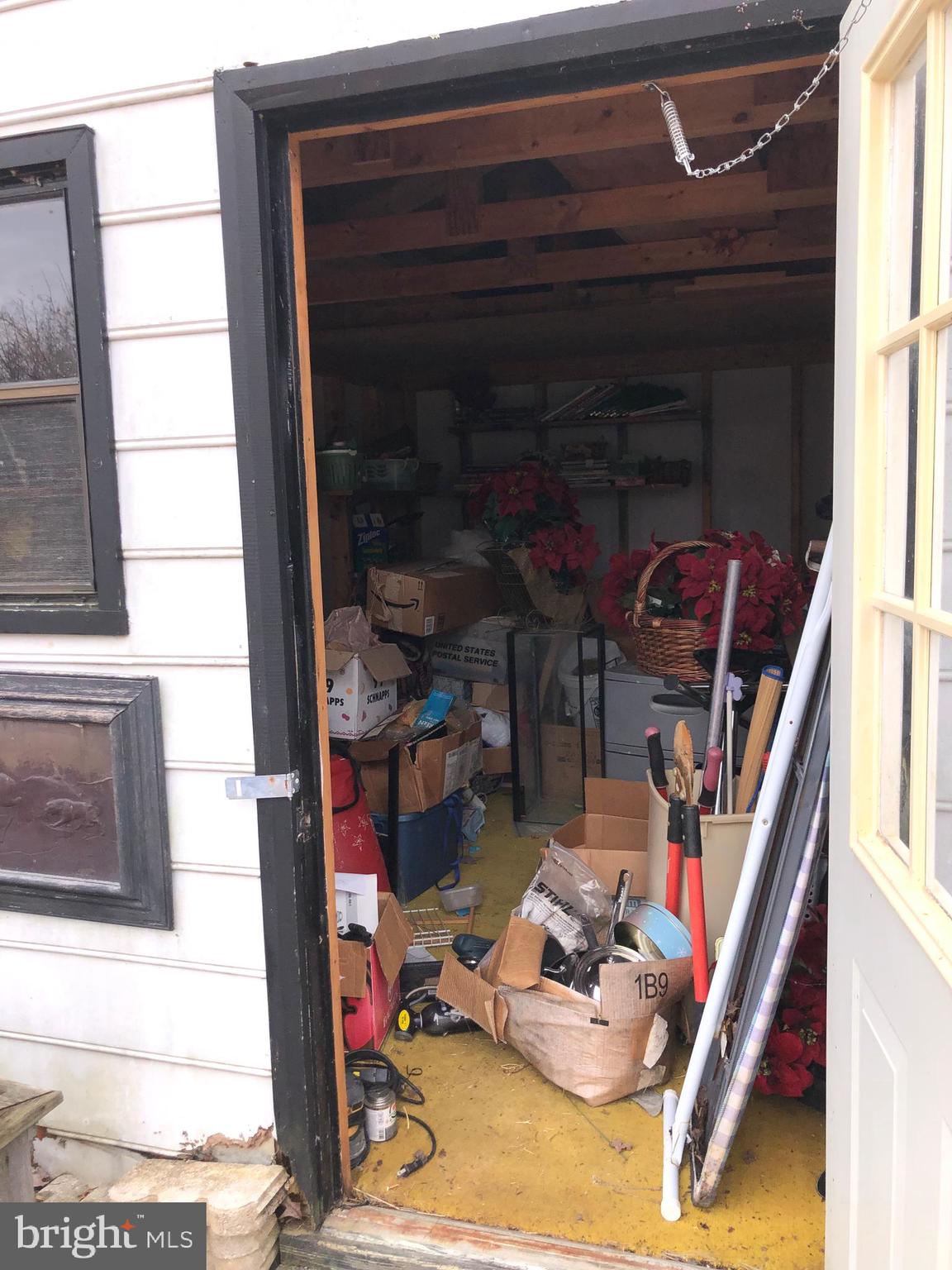 SILVER CUP - Residential