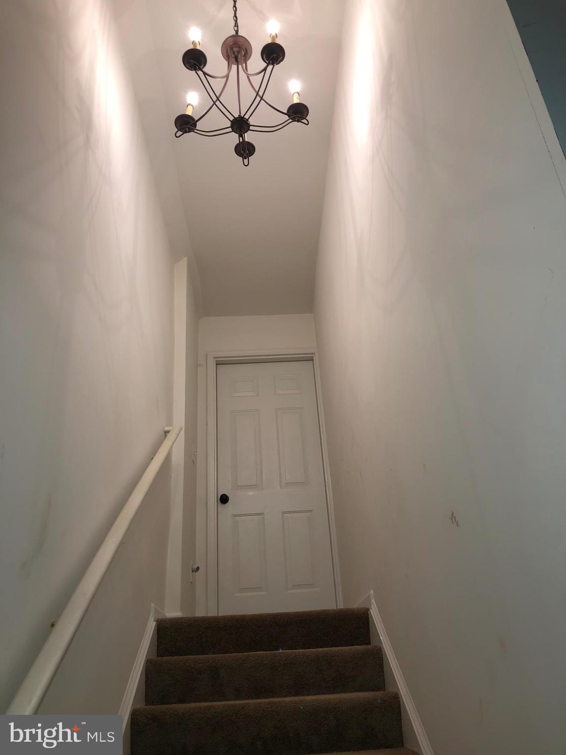 SILVER CUP - Residential