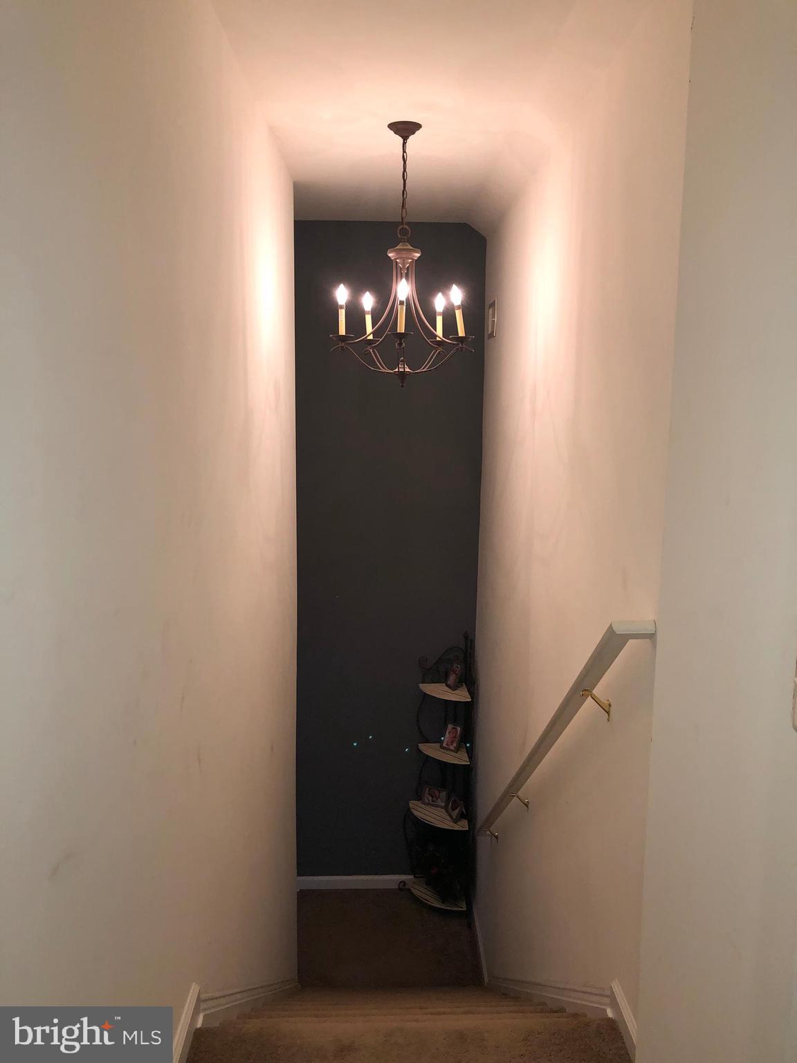 SILVER CUP - Residential