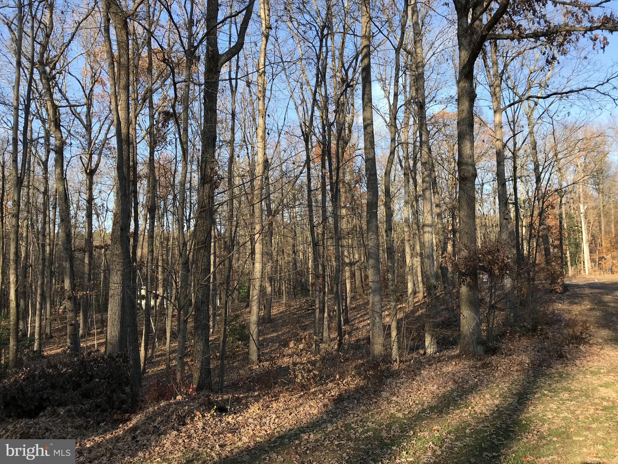 SILVER CUP - Residential