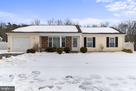 133 ARBOR MEADOW DRIVE SICKLERVILLE NJ 08081