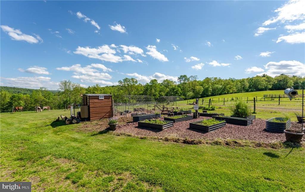 NOT IN A DEVELOPMENT - Farm