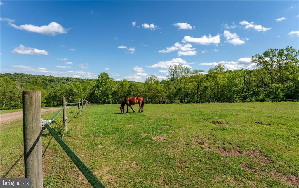 NOT IN A DEVELOPMENT - Farm