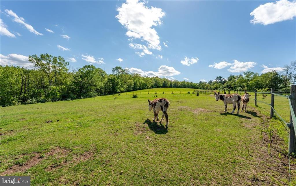 NOT IN A DEVELOPMENT - Farm