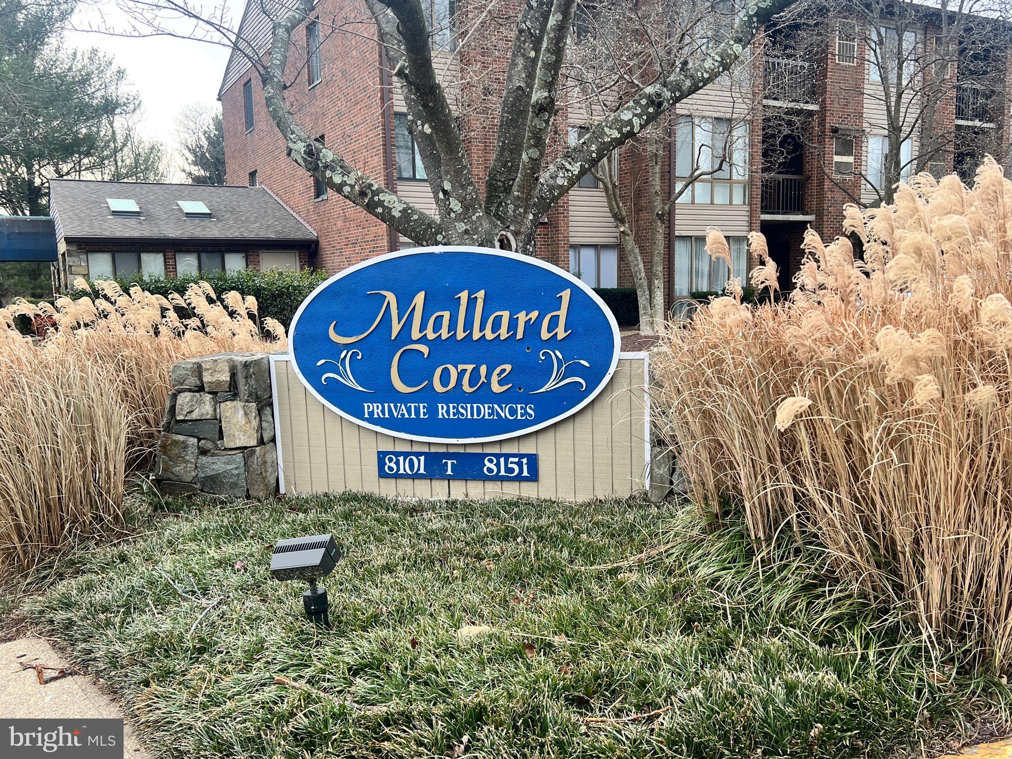 8141 NEEDWOOD ROAD 104