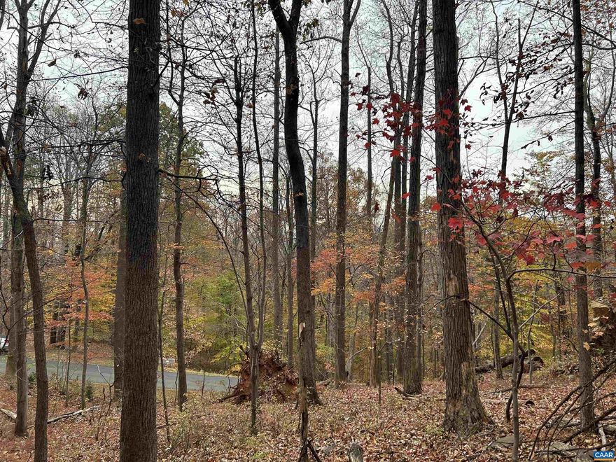 Wonderful large elevated lot with great easterly exposure. Features nice sunrises and great seasonal views of local mountain ridges. Location is close to Wintergreens Stoney Creek amenities, Iron & Ale restaurant, golf, tennis, lake Monocan, fishing ponds, hiking & biking trails, Nelson County farmers market, and all that Nellysford VA has to offer.