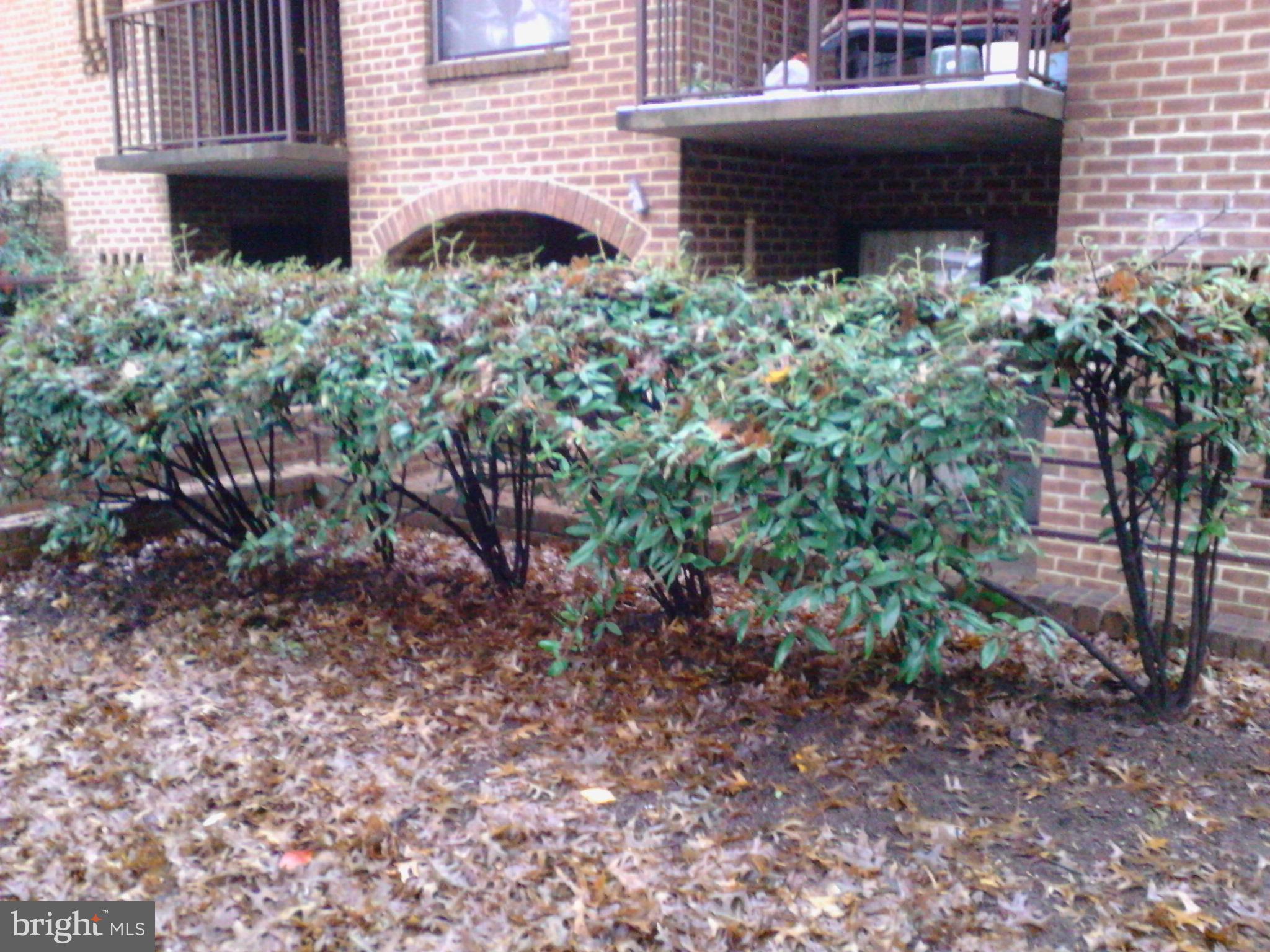 FAIRWINDS ON SEVERN - Residential Lease