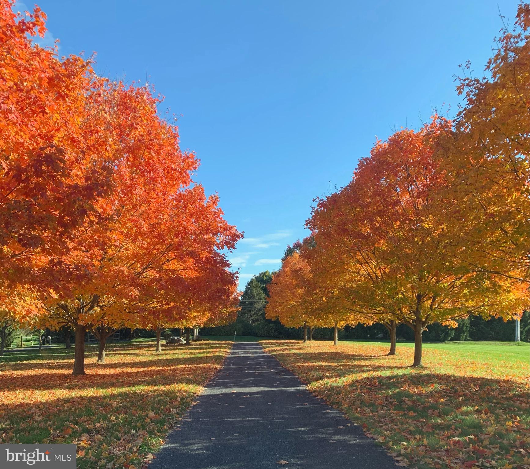 SILVER SPRING TWP - Residential