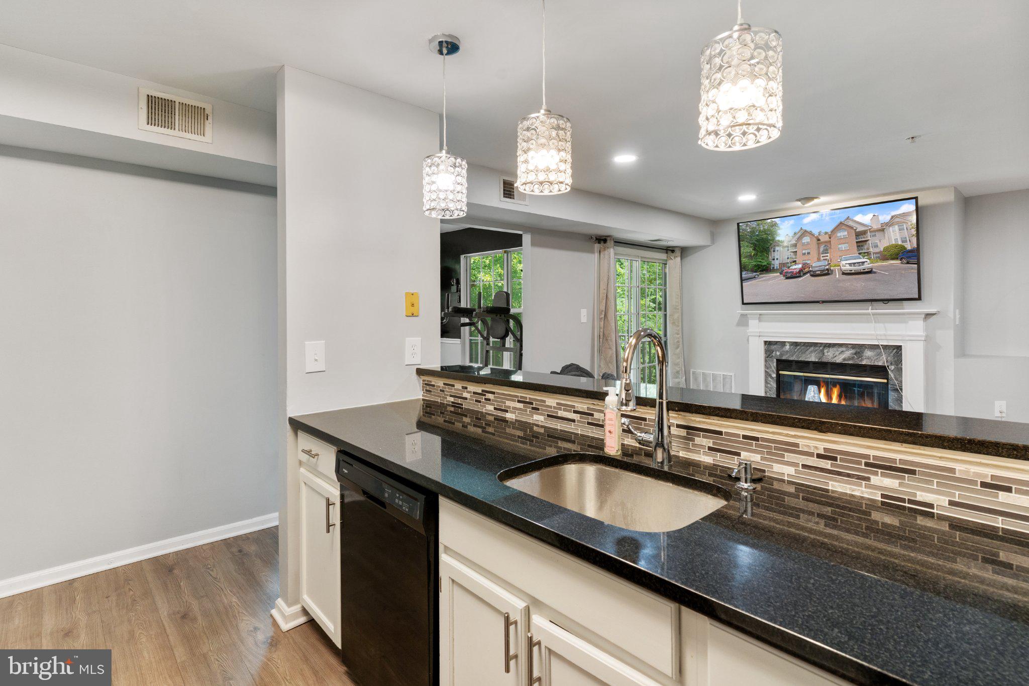 9720 LAKE POINTE COURT 204