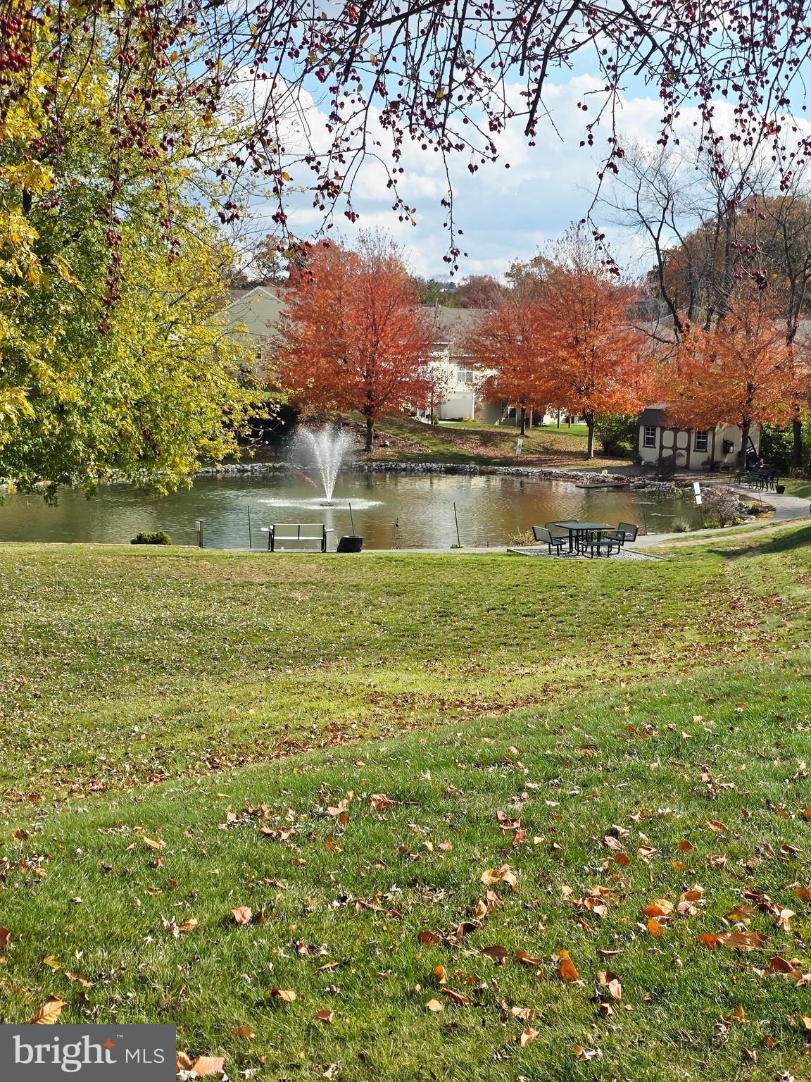 EQUINE MEADOWS - Residential