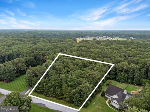 18088 WHITE OAK DRIVE MILTON DE 19968