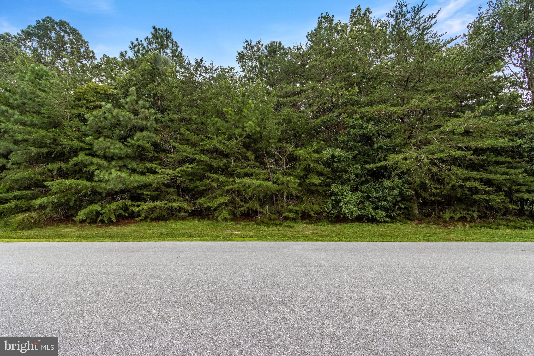 18088 WHITE OAK DRIVE