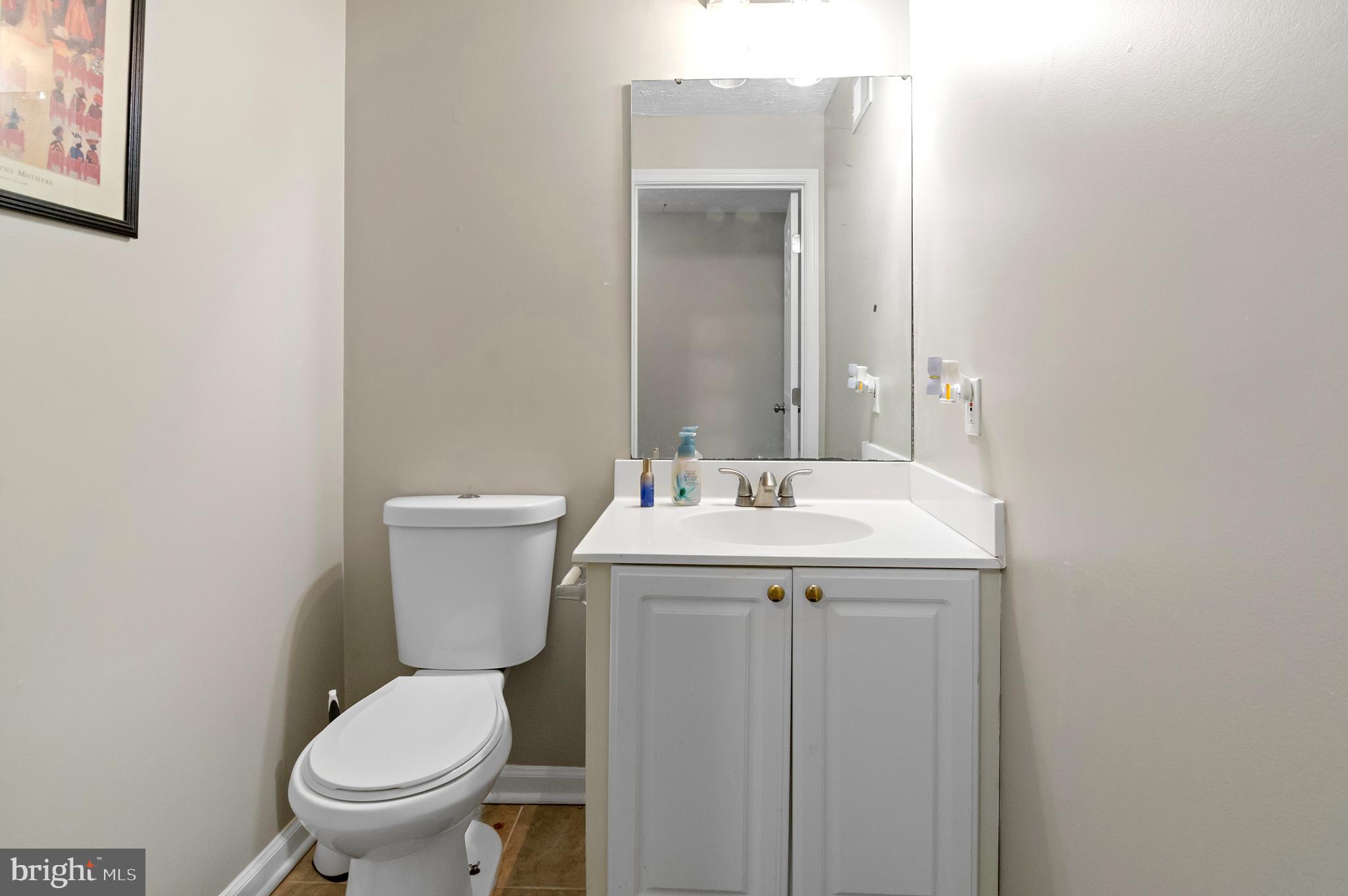 VILLAGE OF PAINTERS MILL - Residential