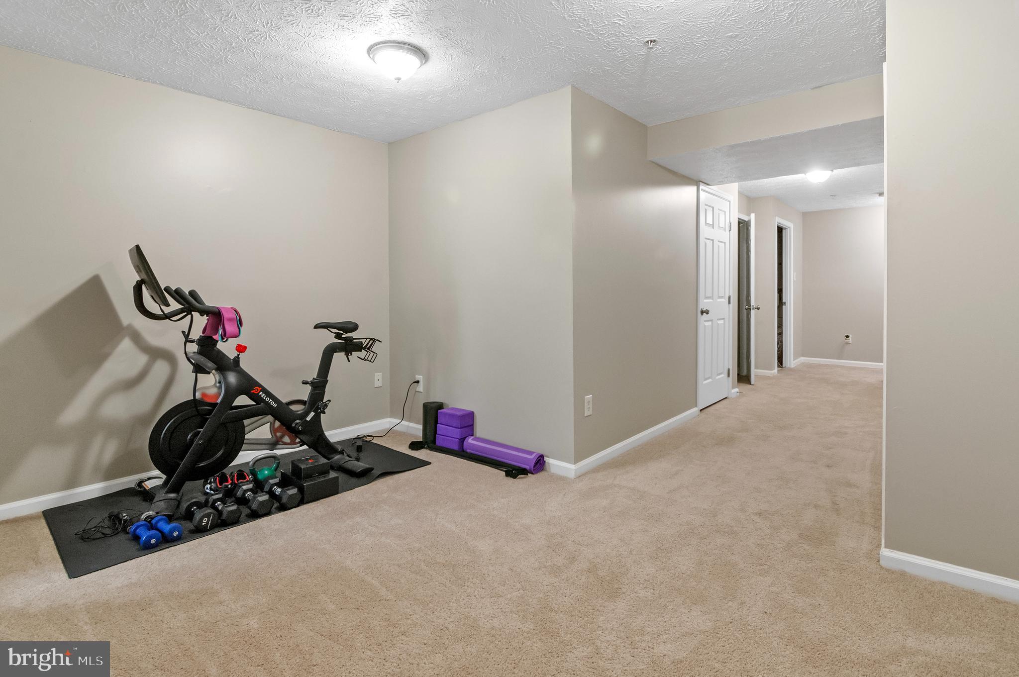 VILLAGE OF PAINTERS MILL - Residential