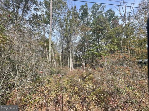 580 CHAMONIX ZION GROVE PA 17985