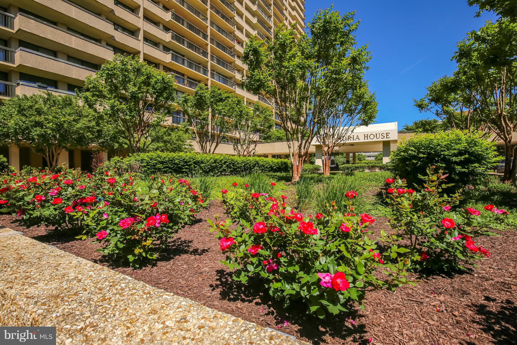 ALEXANDRIA HOUSE - Residential