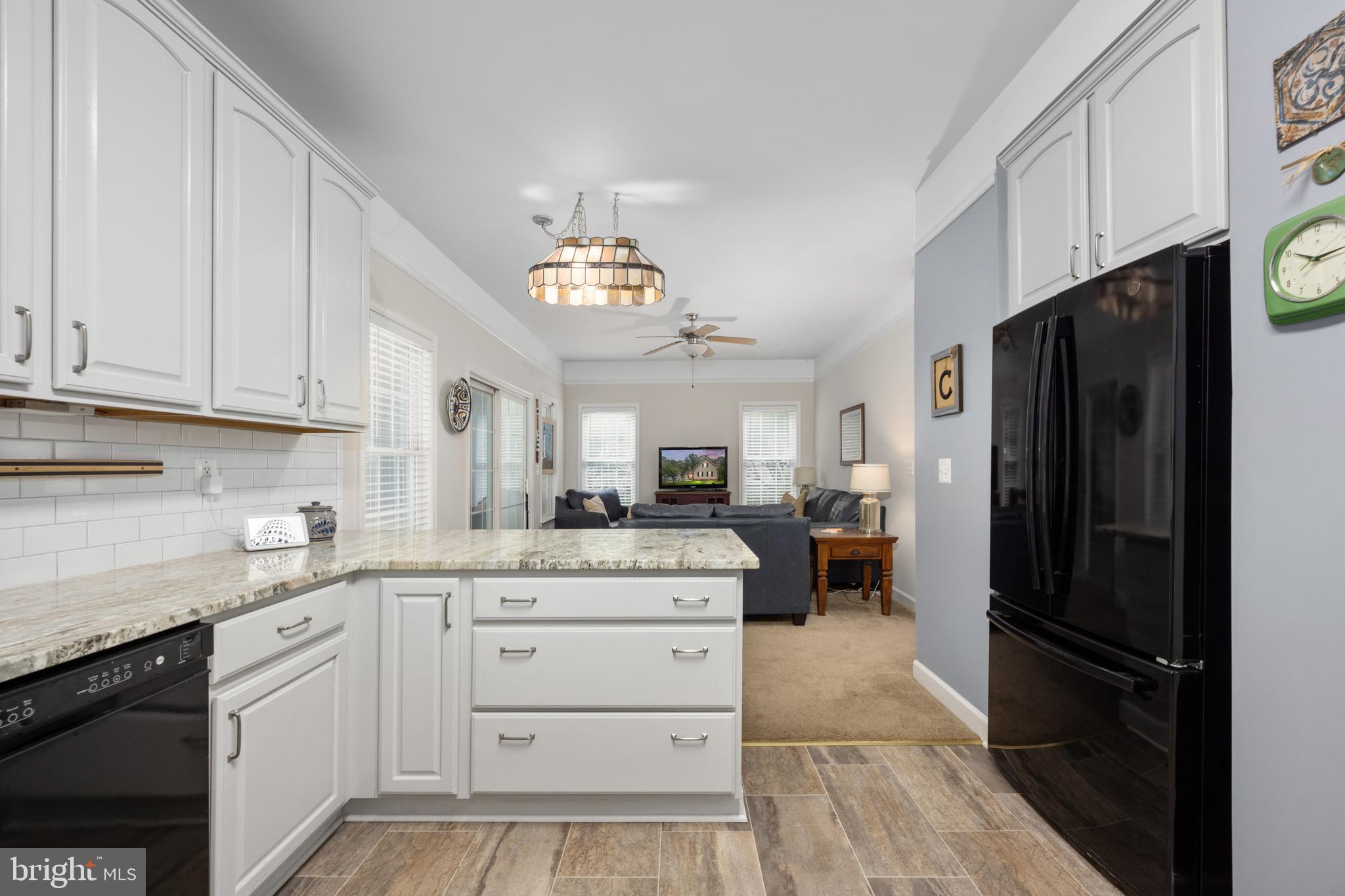 LAKE OF THE WOODS - Residential