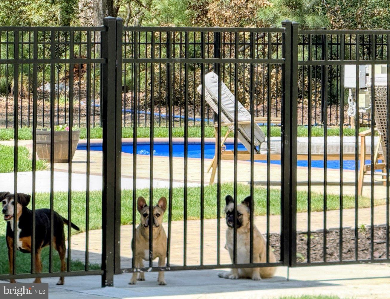 DEEP BRANCH FOREST - Residential