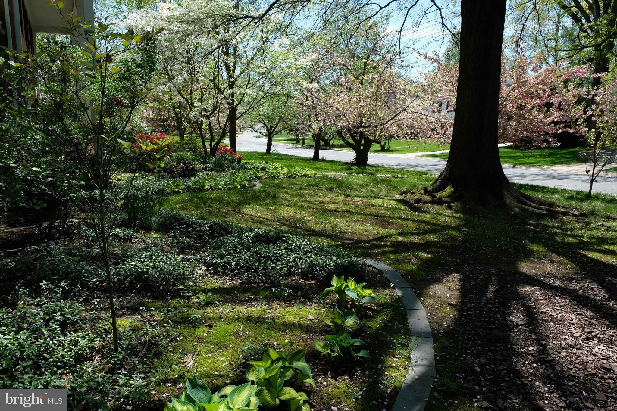 KENWOOD PARK - Residential