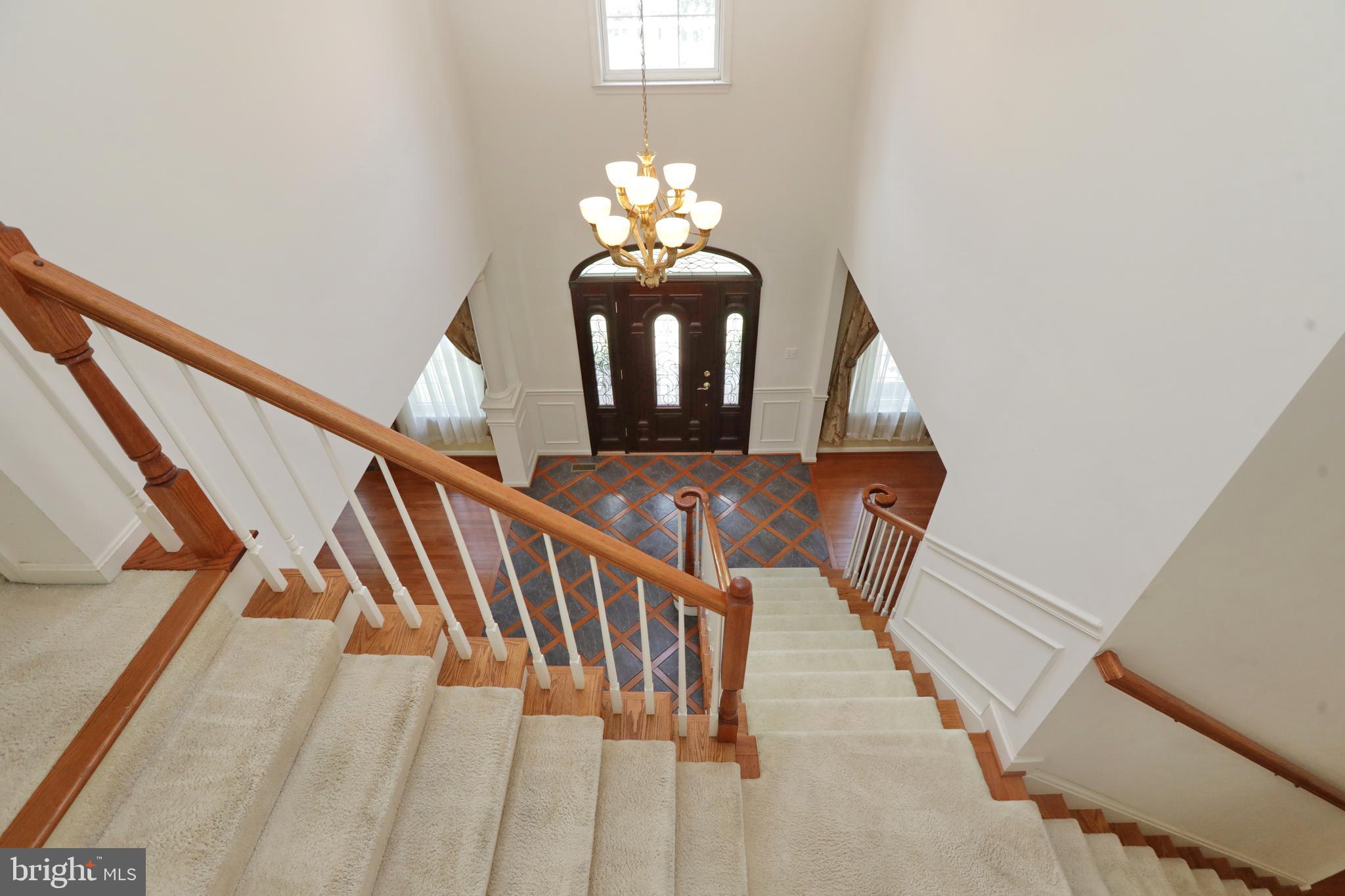 SETTLE WOODS - Residential