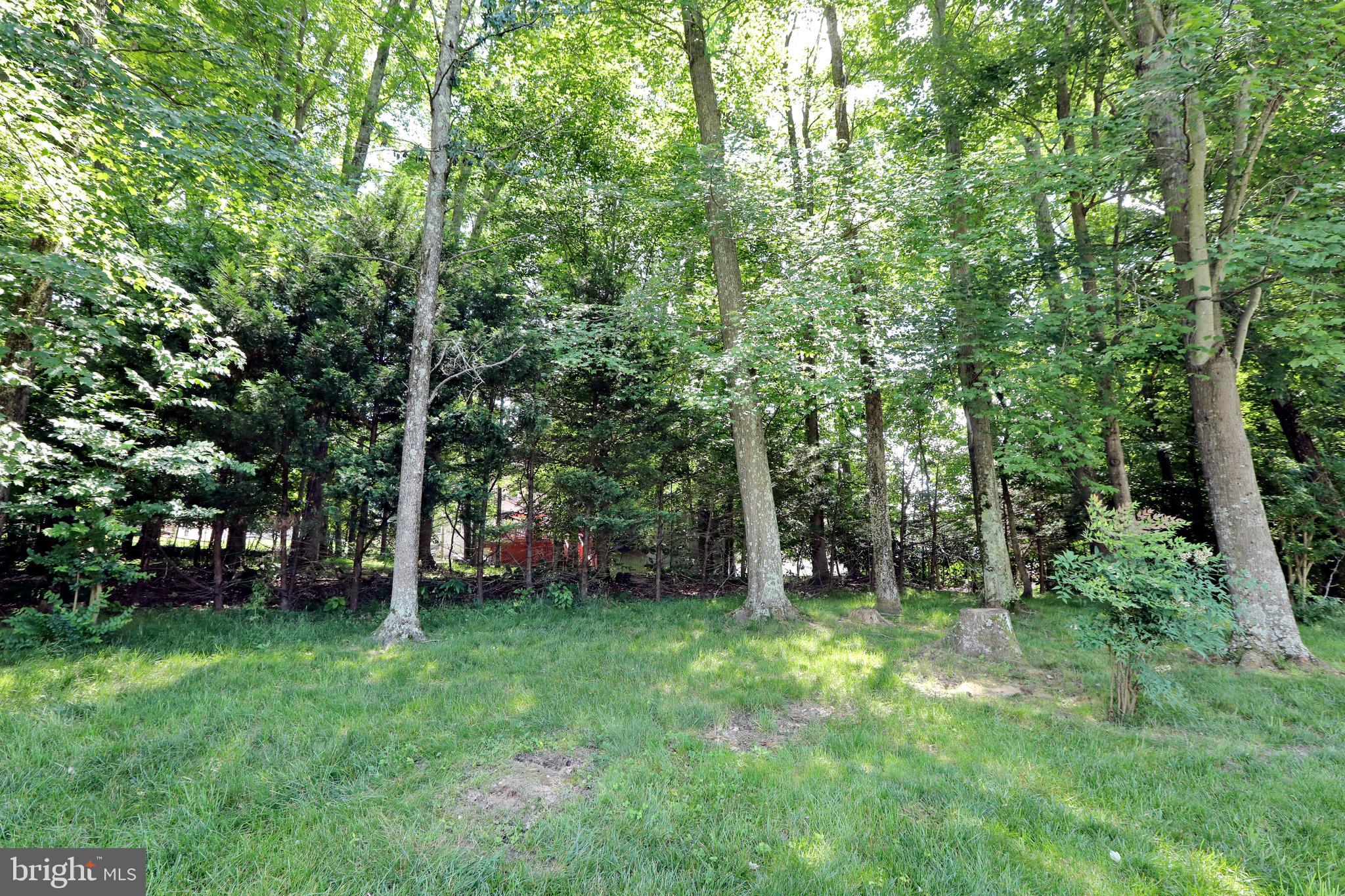 SETTLE WOODS - Residential