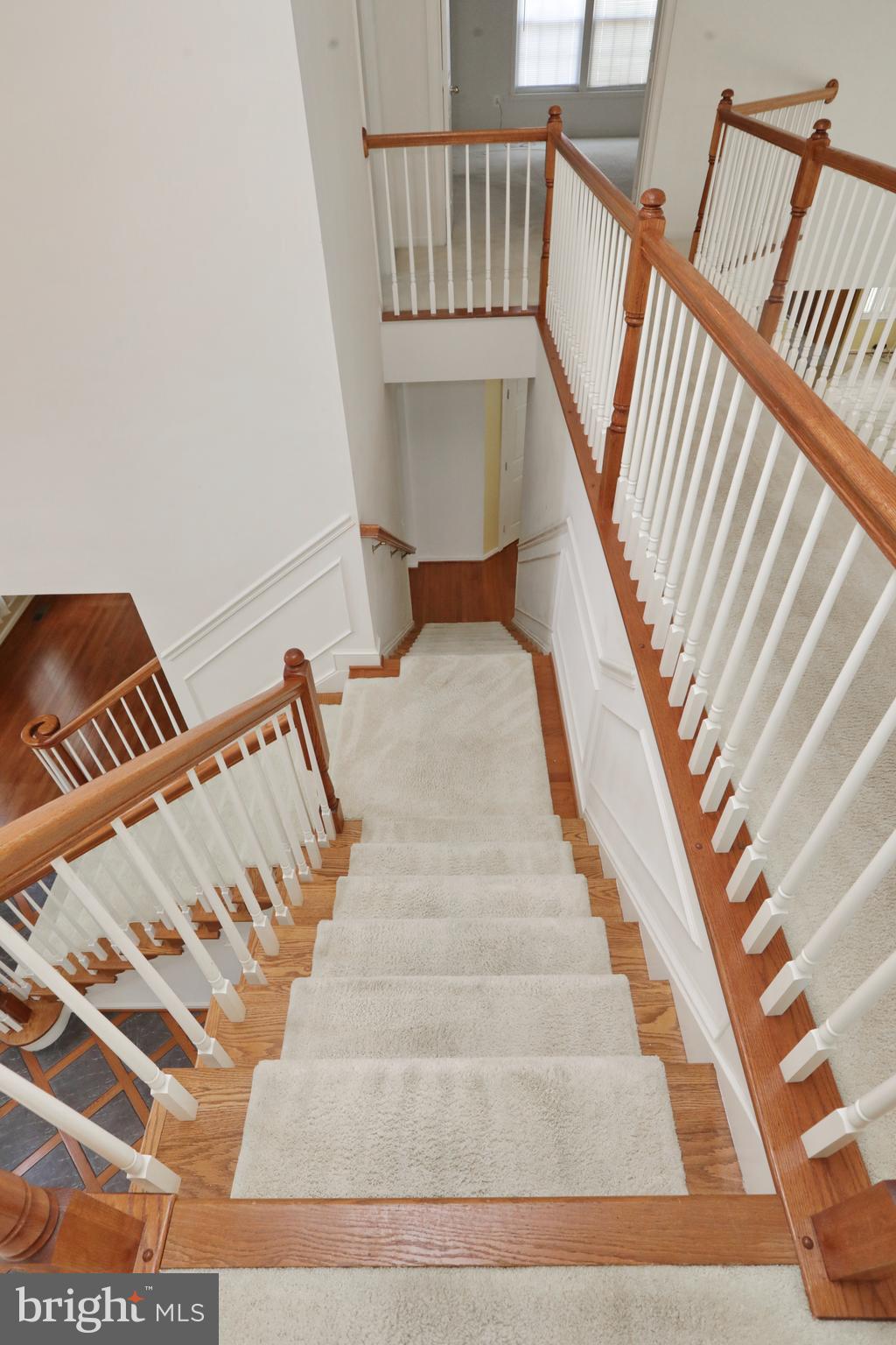 SETTLE WOODS - Residential