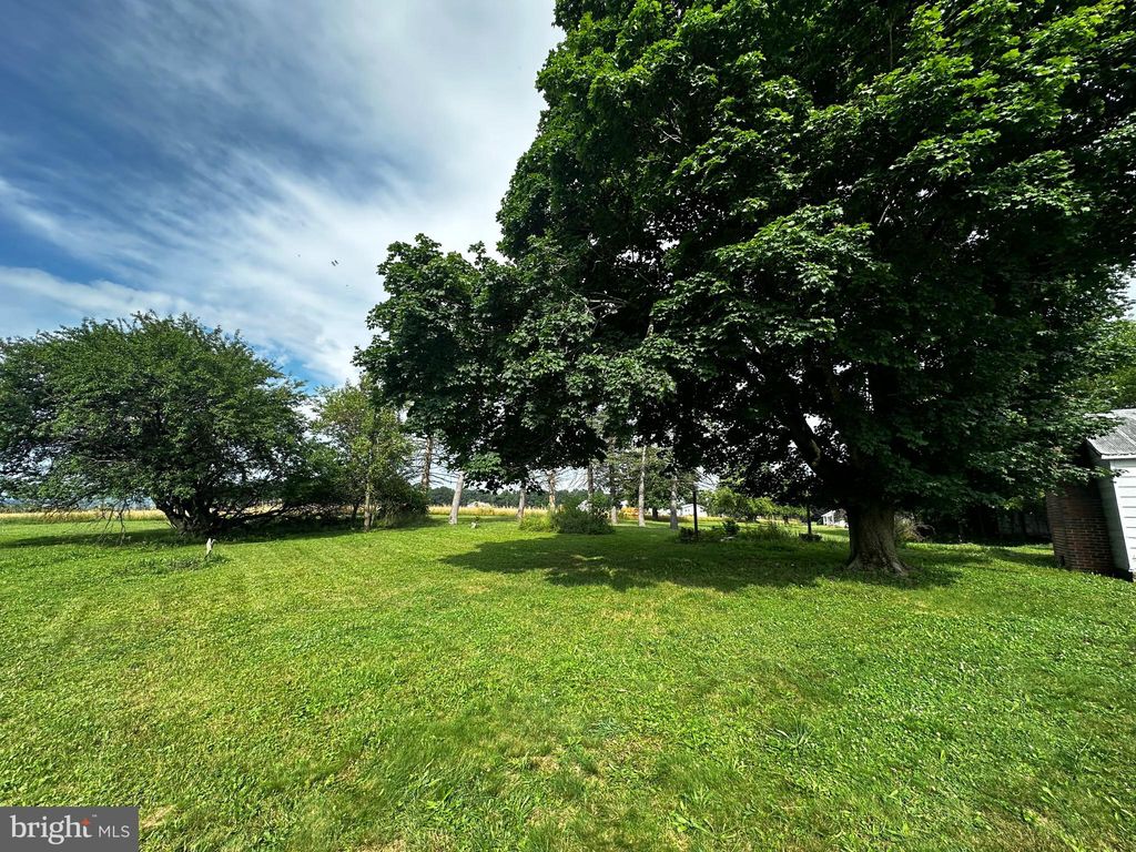 Photo of 224 Middle Road, CATAWISSA, PA 17820 (MLS # PACO2000746)
