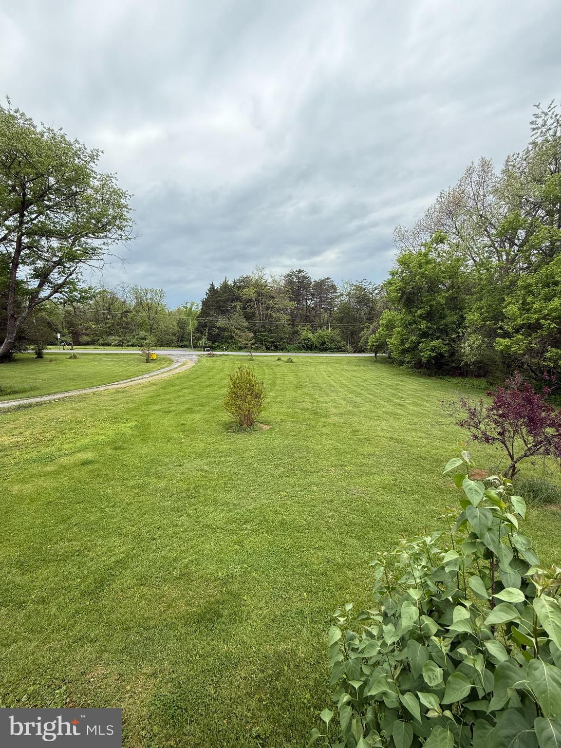 276 FOREST VIEW