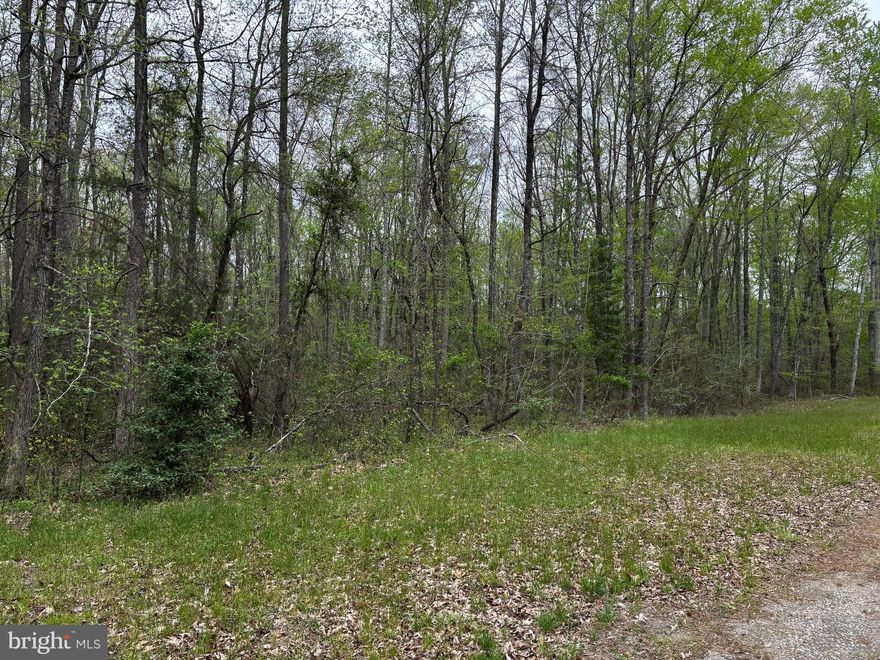 Price reduction! Offering 55 acres of land in Woodford.  This land creates a great  opportunity for many possibilities. This parcel has a large amount of road frontage creating more options for use. The location on Paige Road in Woodford is just about 8 miles from Thornburg.   Also nearby is  the  coming soon location of the Kalahari Resort and convention center. This parcel of land is just a short drive to interstate  95.  This land offers endless possibilities, maybe a private estate, a recreational retreat or future development. Don't Miss the chance to own this.