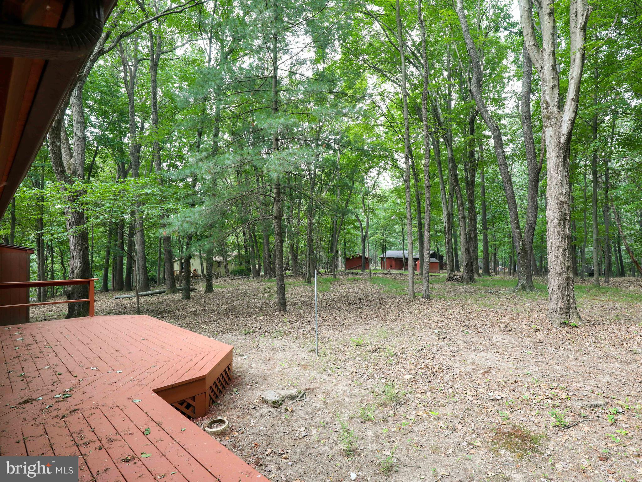 THE WOODS - Residential