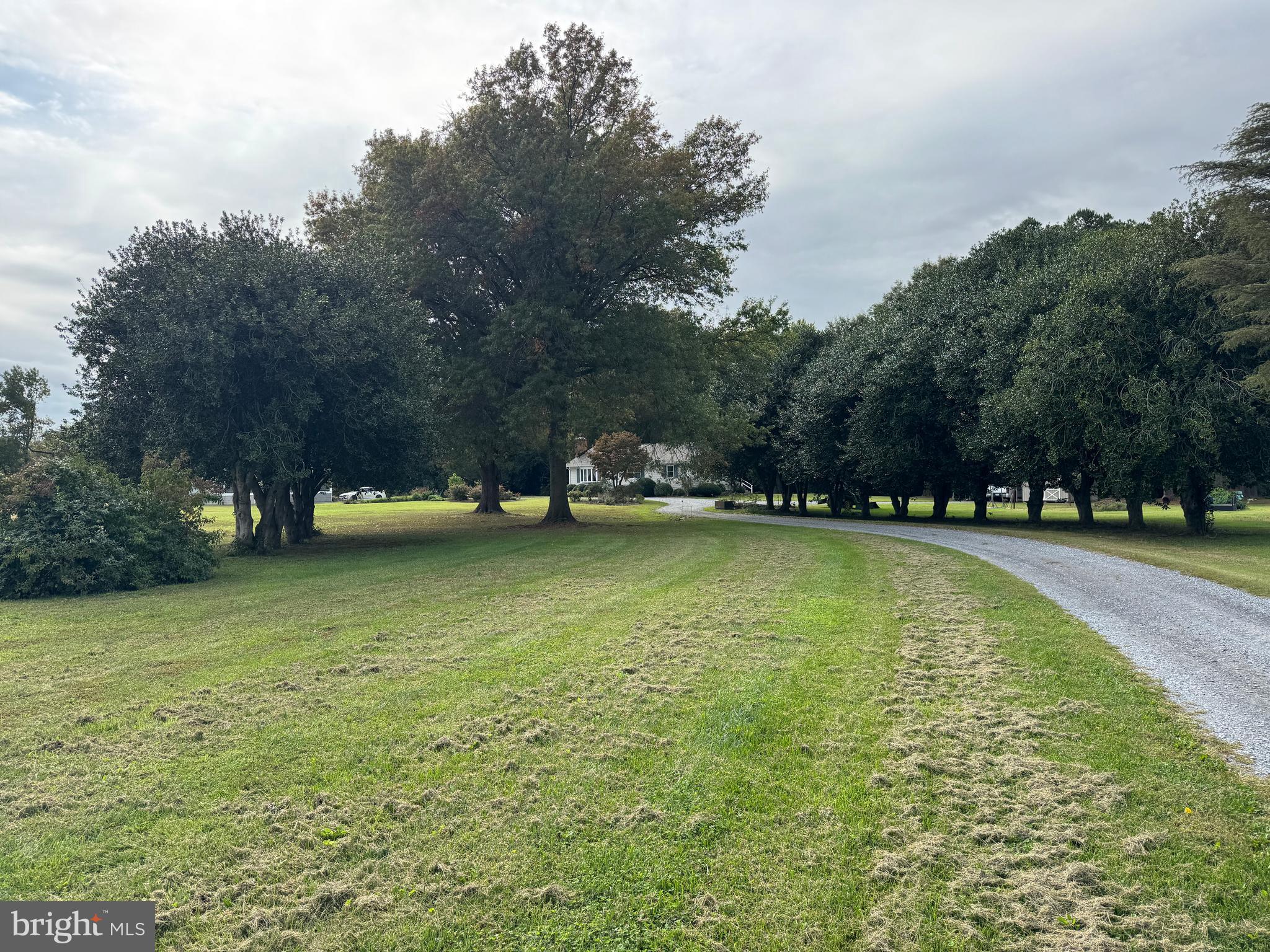 3523 CHATEAU DRIVE