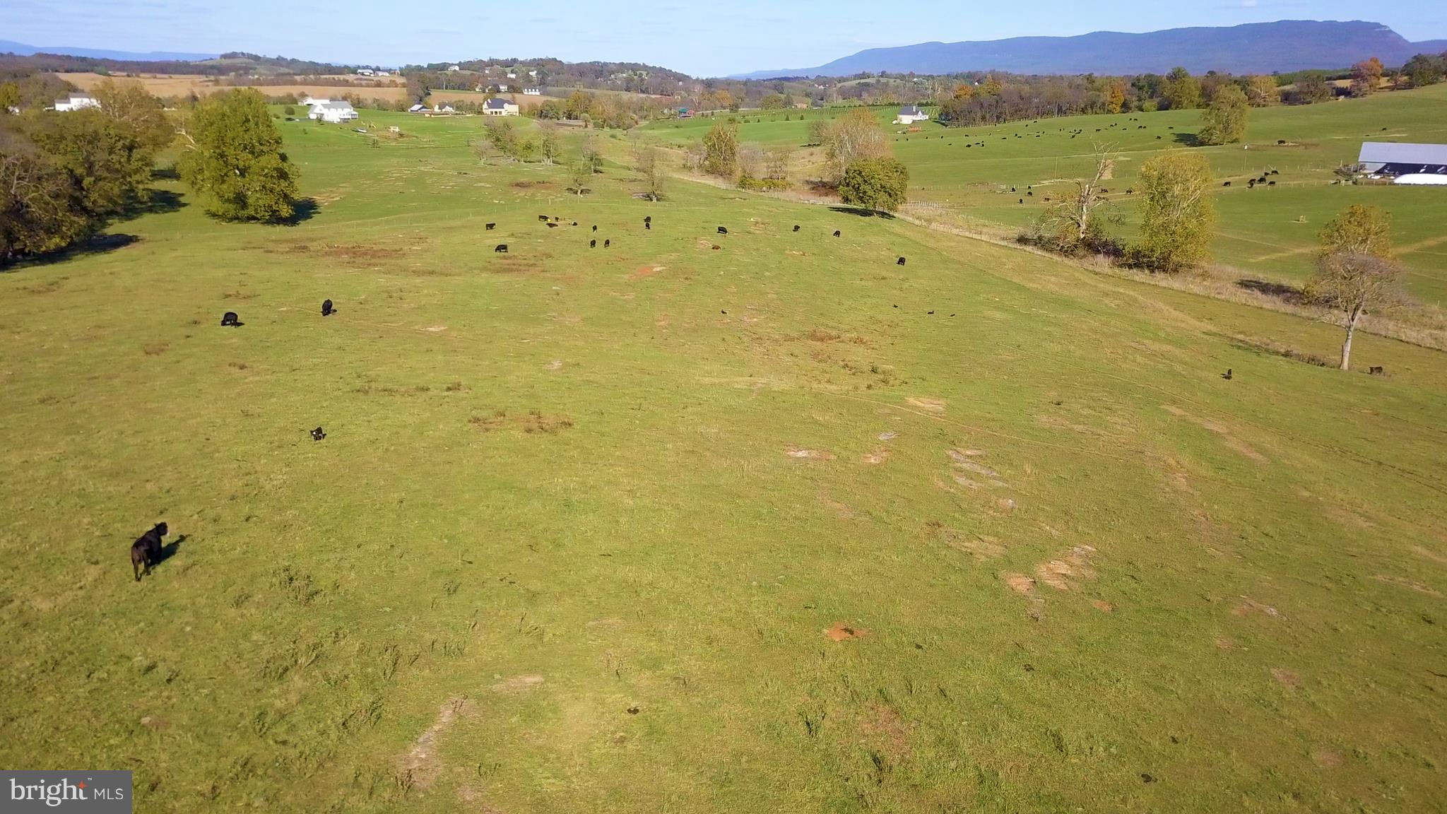 METES & BOUNDS - Land