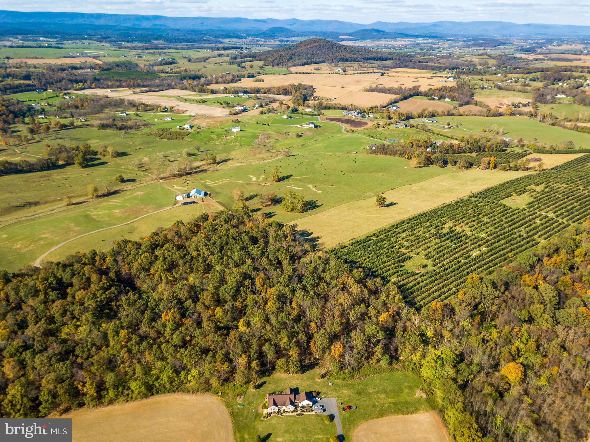 METES & BOUNDS - Land