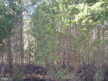PERC REQUIRED 0.53 acre lot in Liberty Twp, Fairfield Area School District. Use Builder of Your Choice! Well Required. Near Ski Liberty and 2 Golf Courses. Priced Under Assessed Value! Convenient Access to Commuter Routes, near Maryland border.