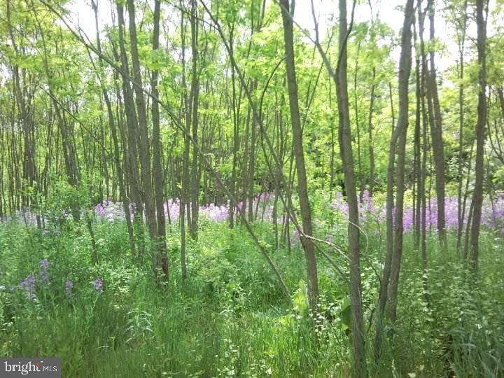 NONE AVAILABLE - Land