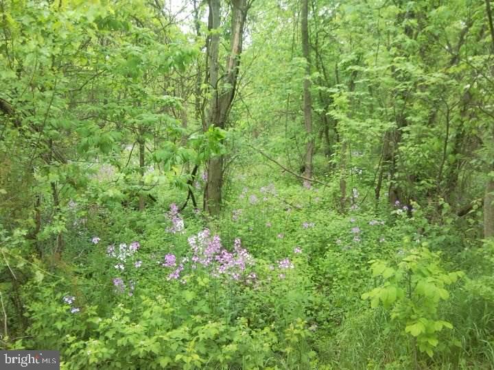 NONE AVAILABLE - Land