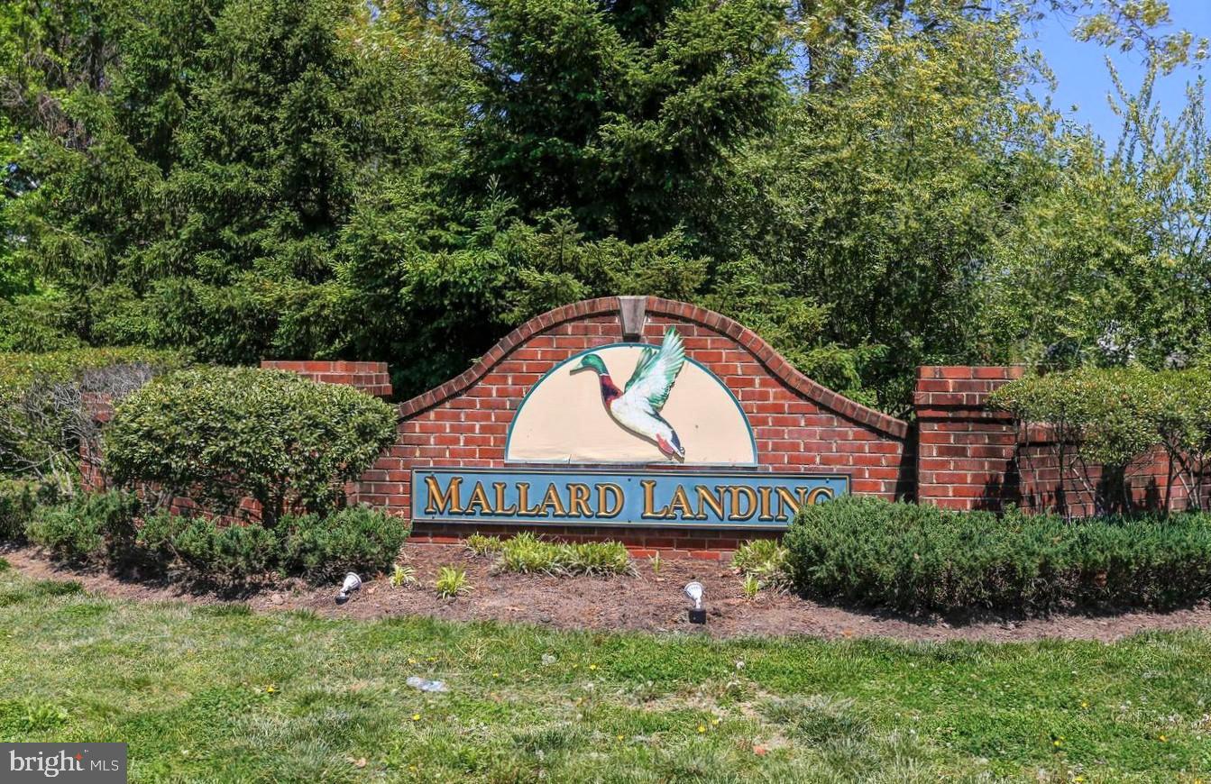 MALLARD LANDING - Residential