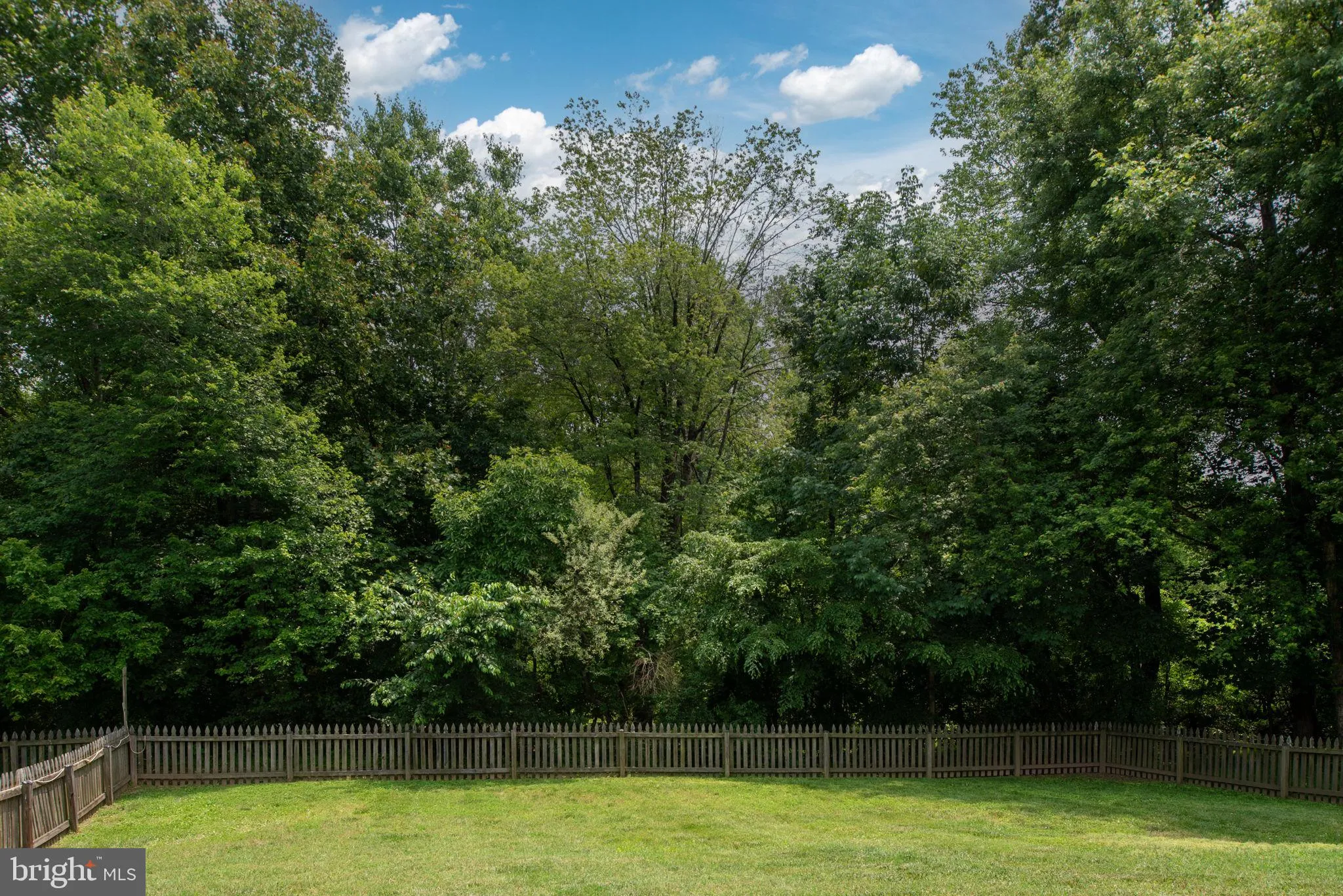 Fredericksburg, Virginia 22406, United States, 4 Bedrooms Bedrooms, ,3 BathroomsBathrooms,Residential,Active,174091