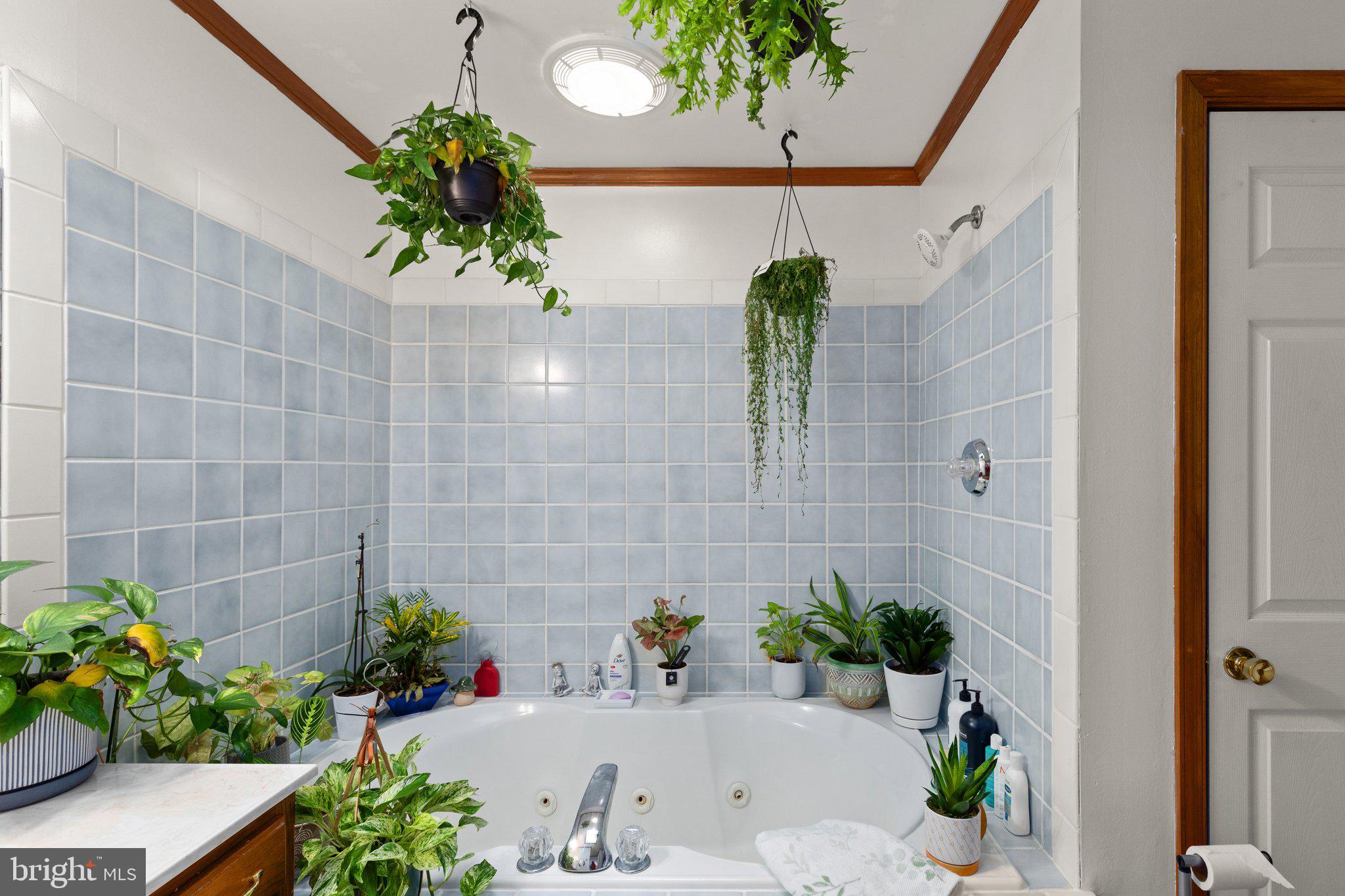 CHESAPEAKE ISLE - Residential