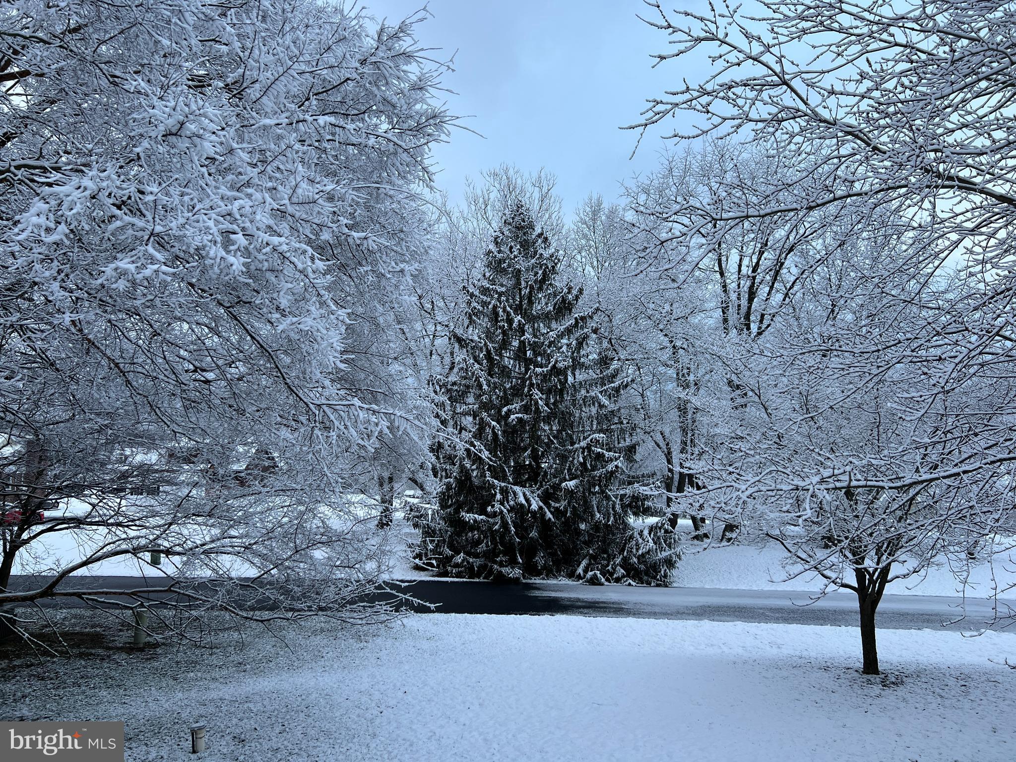 CHESAPEAKE ISLE - Residential