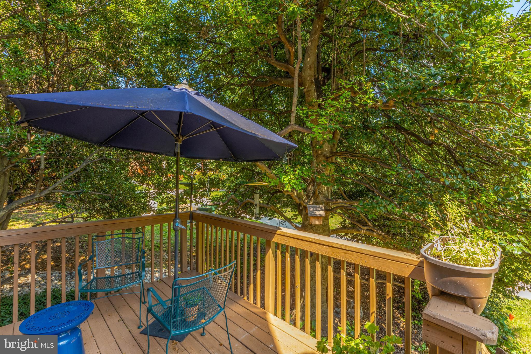 ARLINGTON VILLAGE - Residential