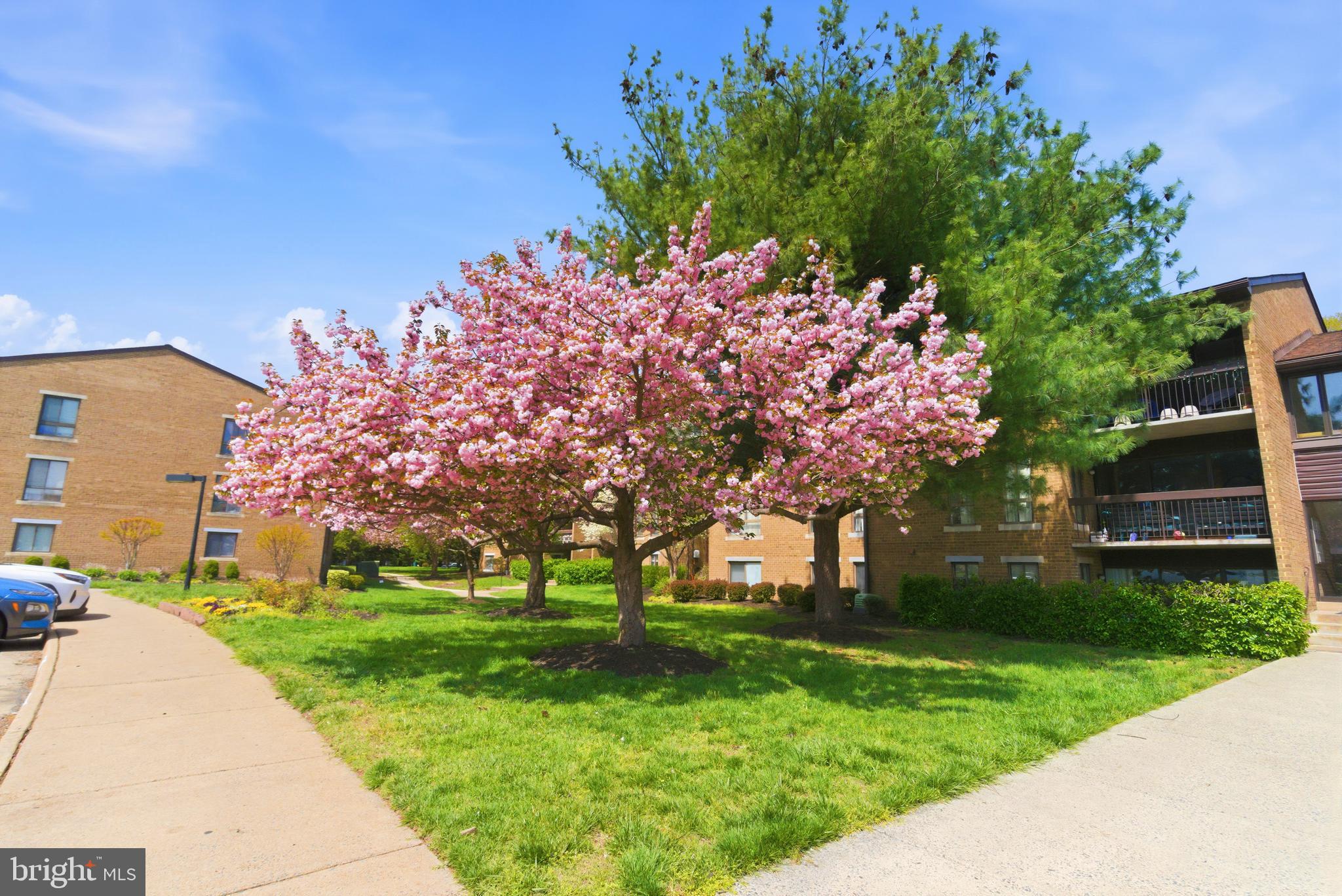 JEFFERSON MEWS - Residential
