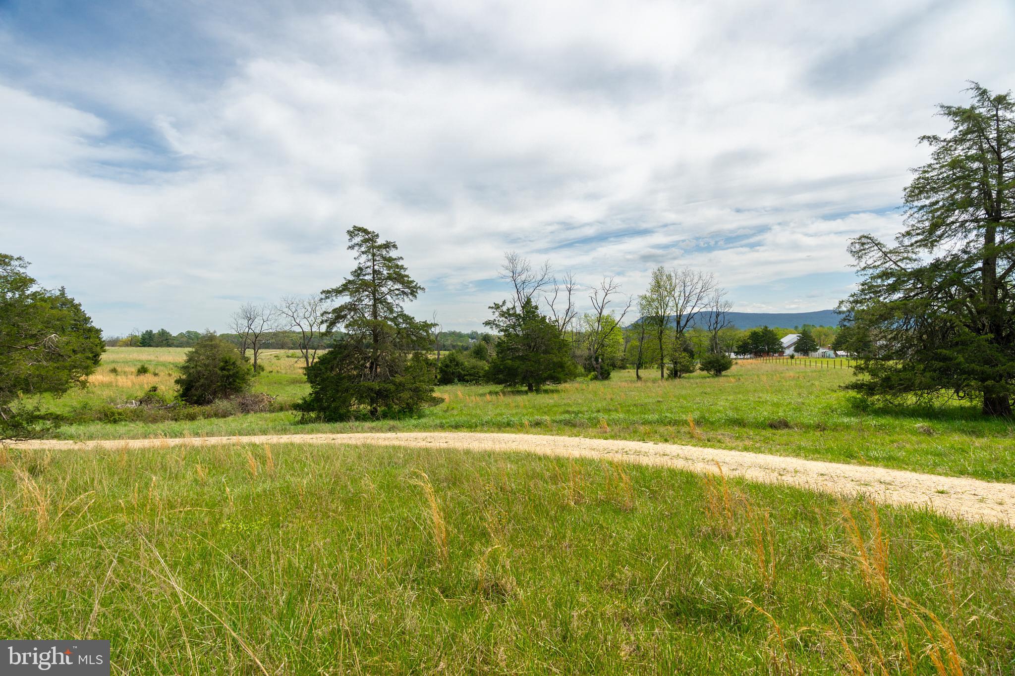 TBD BACK ROAD